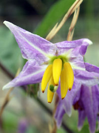 ���Ȃ���