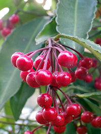 �Z�������E