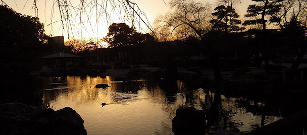 �[�ł̒ߕ�����