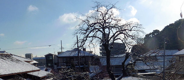 ���É��ɂ��Ⴊ�~�����@�T�Z���`